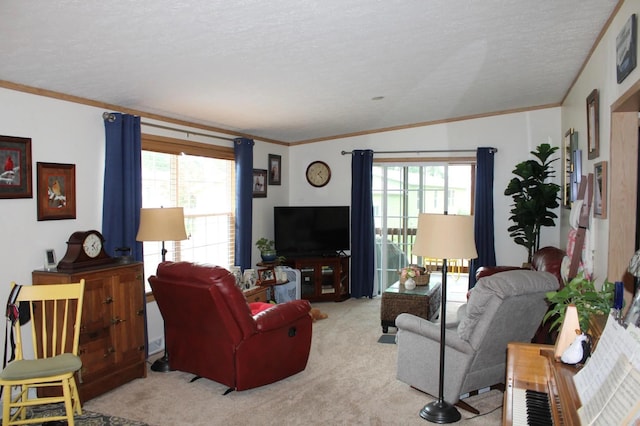 carpeted living room featuring a textured ceiling, ornamental molding, and a healthy amount of sunlight