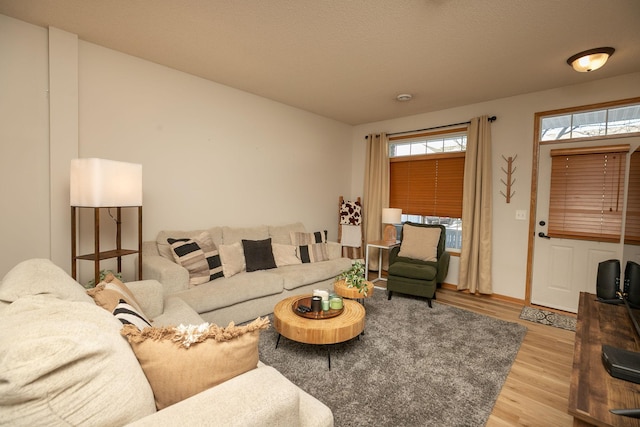 living room featuring wood finished floors