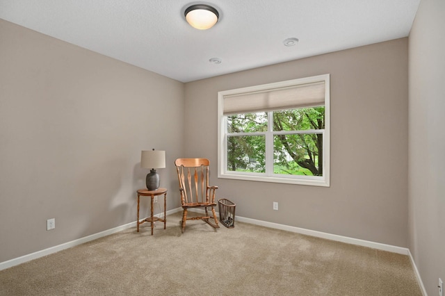 3595 Lemieux Cir, Eagan, MN 55122 - sitting room with carpet flooring and baseboards