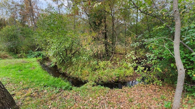 view of nature featuring a forest view