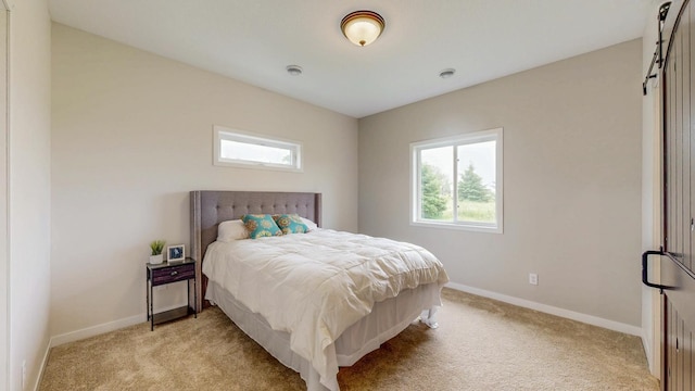 619 6th St, West Concord, MN 55985 - bedroom with multiple windows, light carpet, and a barn door