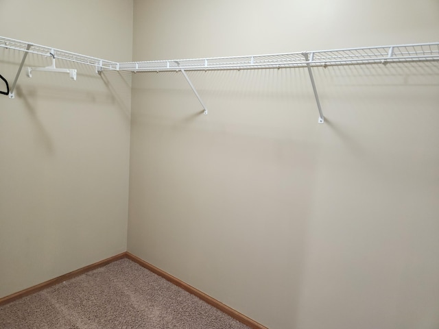 7721 Elm Grove Ave, New Hope, MN 55428 - walk in closet with carpet