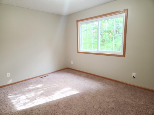 7721 Elm Grove Ave, New Hope, MN 55428 - spare room featuring carpet and baseboards