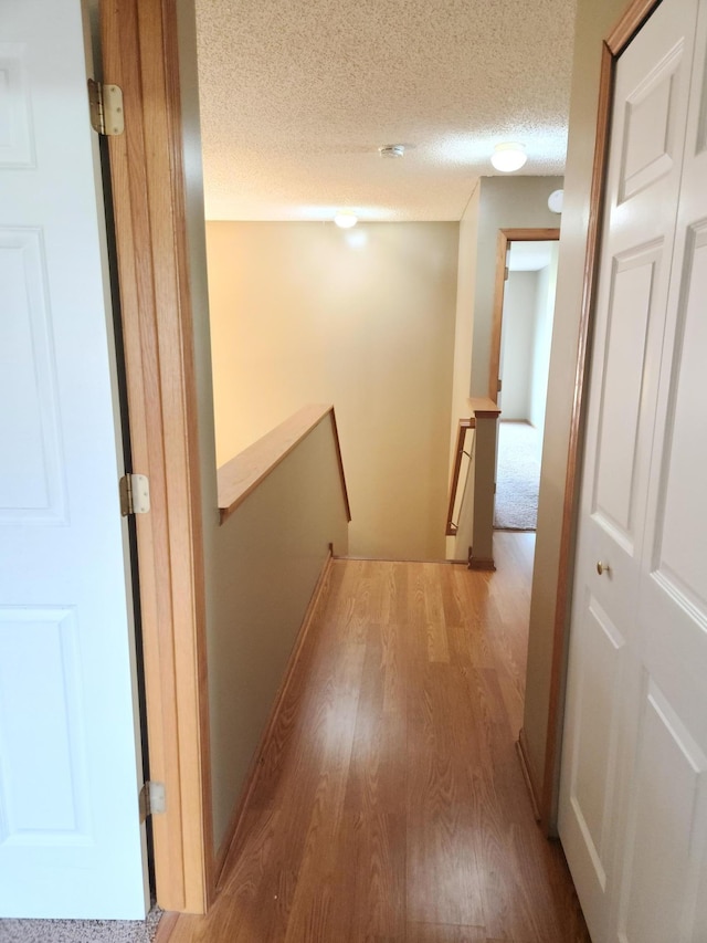 7721 Elm Grove Ave, New Hope, MN 55428 - hall with an upstairs landing, wood finished floors, and a textured ceiling