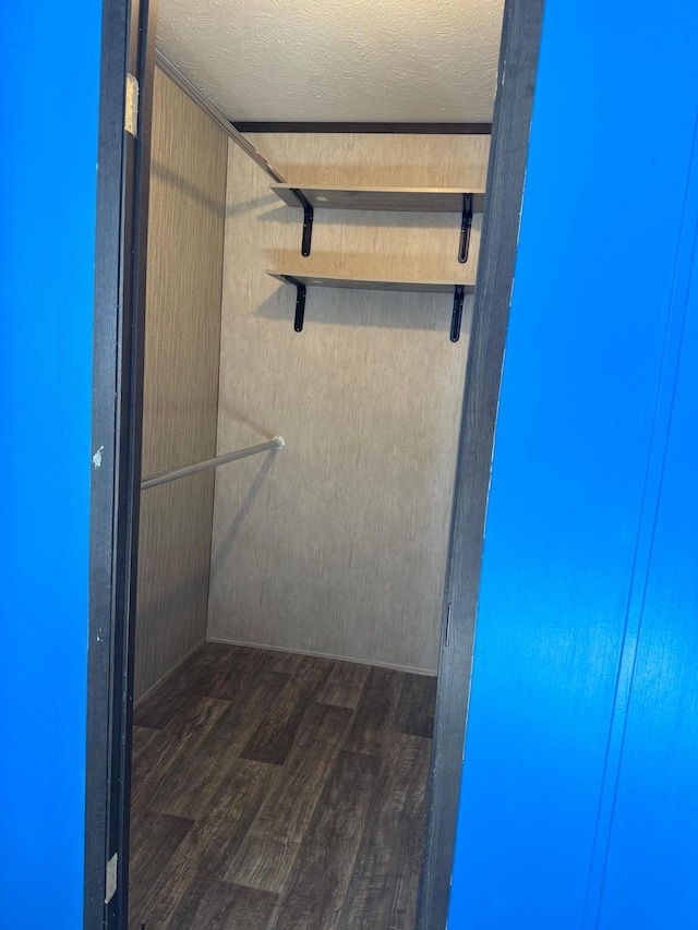 spacious closet with wood finished floors