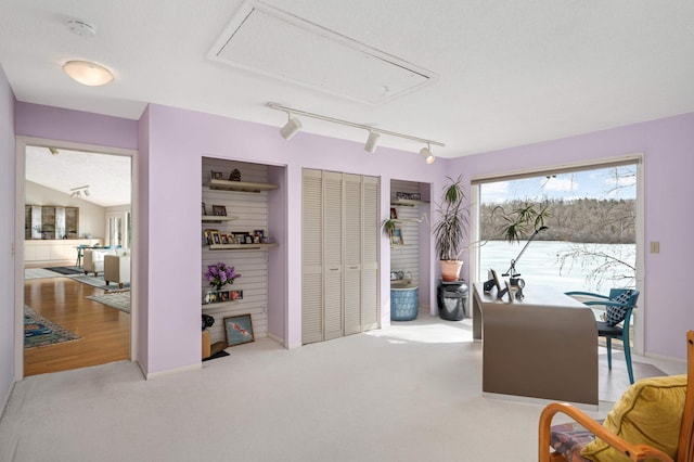 sitting room featuring attic access, rail lighting, and carpet floors