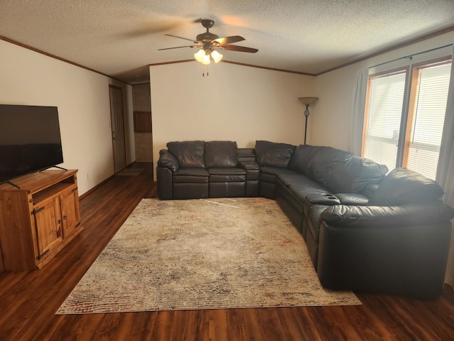 living area featuring crown molding, a textured ceiling, vaulted ceiling, and dark wood-style flooring