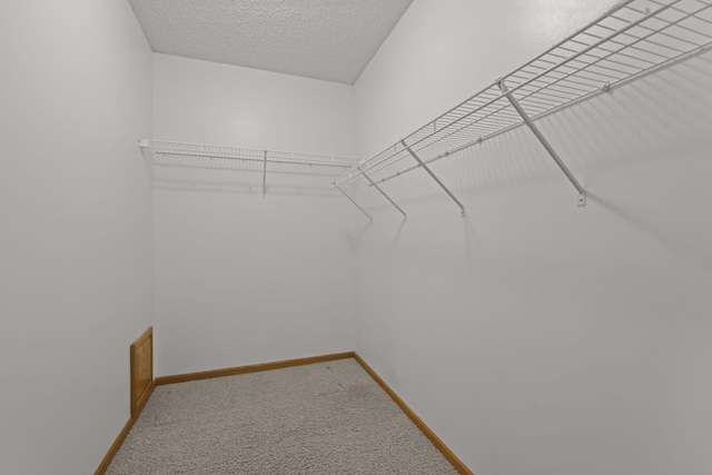 spacious closet with light colored carpet