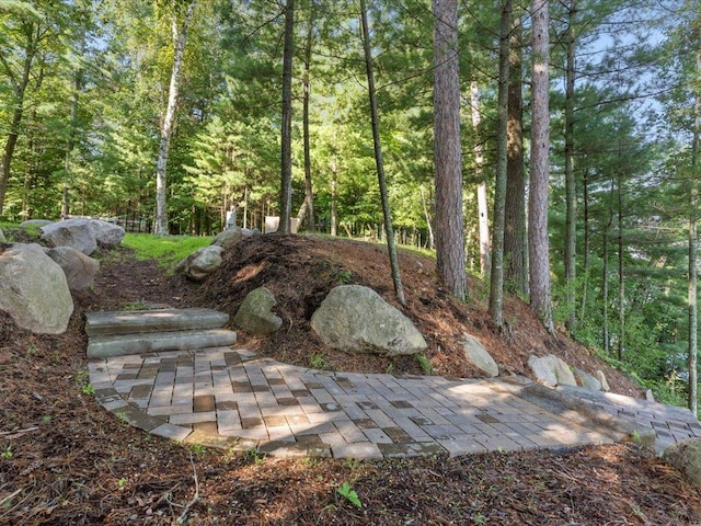 view of yard with a forest view