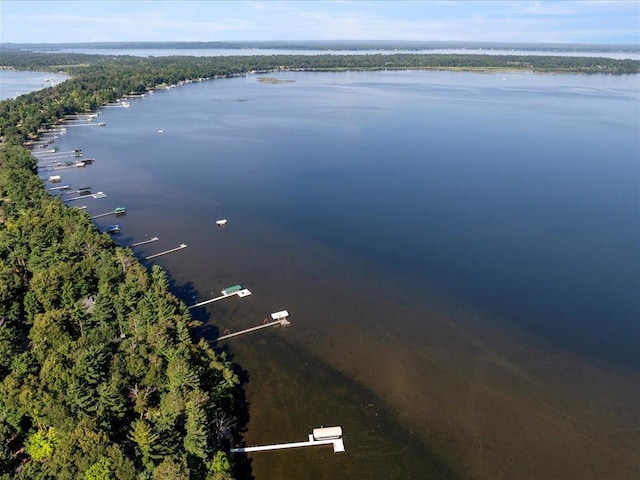 aerial view featuring a water view and a wooded view