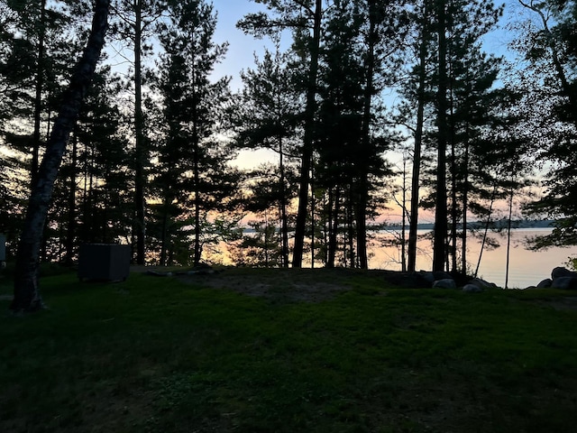 view of yard at dusk