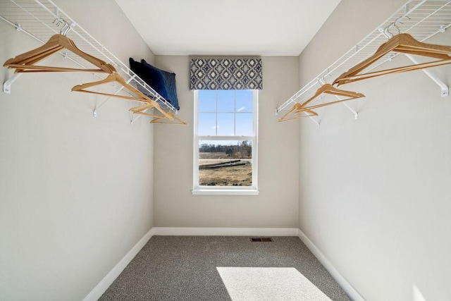 walk in closet featuring carpet floors and visible vents