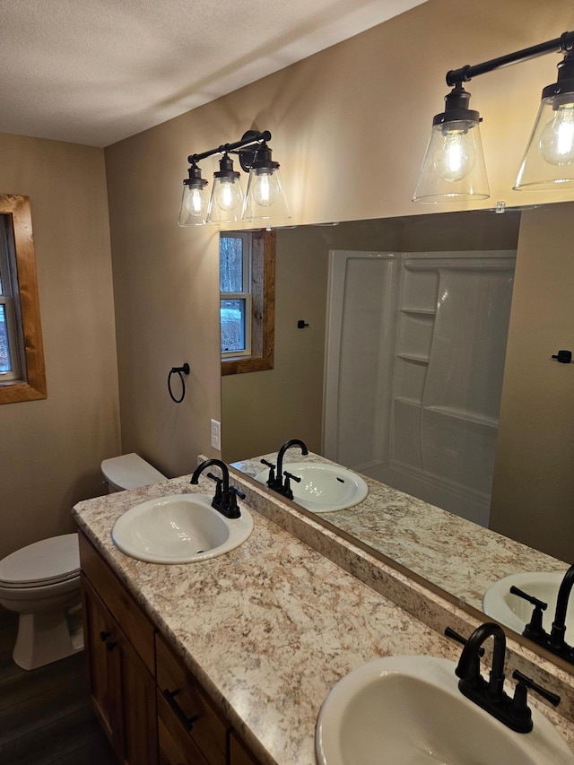 9806 County Road 144, Brainerd, MN 56401 - full bathroom with toilet, double vanity, and a sink