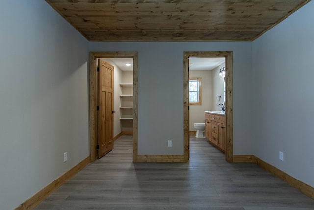 9806 County Road 144, Brainerd, MN 56401 - unfurnished bedroom with baseboards, light wood-type flooring, a sink, and a walk in closet