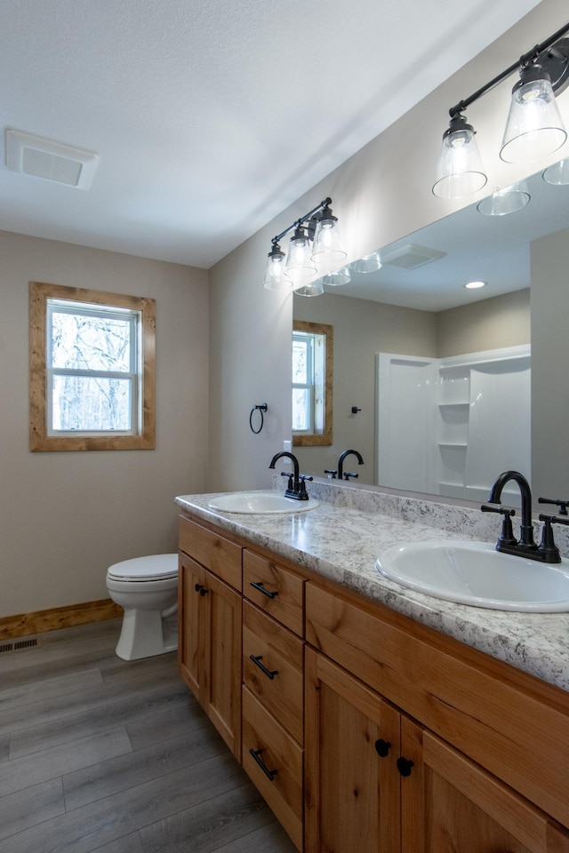 9806 County Road 144, Brainerd, MN 56401 - bathroom featuring a sink, visible vents, and plenty of natural light