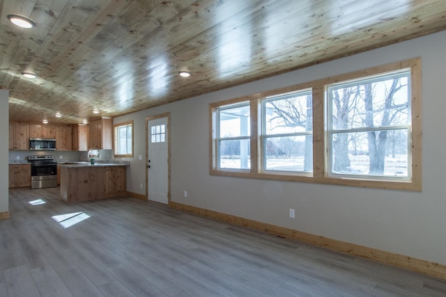 9806 County Road 144, Brainerd, MN 56401 - kitchen featuring light wood-type flooring, baseboards, a peninsula, stainless steel appliances, and wood ceiling