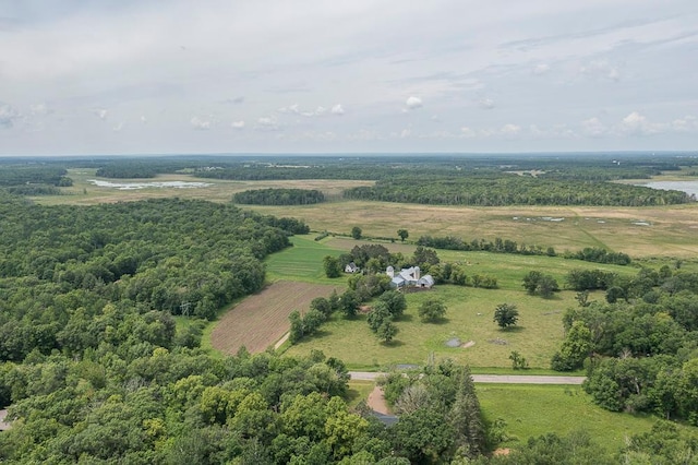 9806 County Road 144, Brainerd, MN 56401 - photo 57