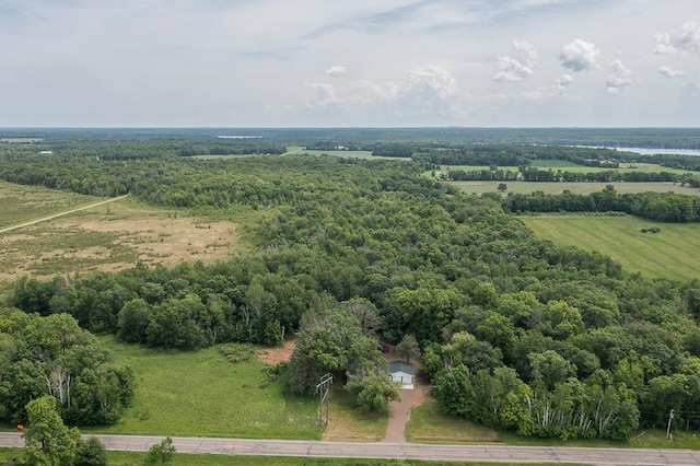 9806 County Road 144, Brainerd, MN 56401 - photo 58