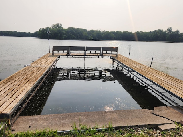 dock area with a water view