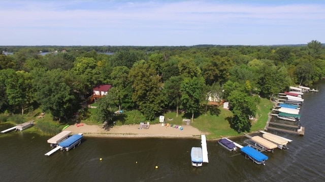 drone / aerial view with a water view and a view of trees