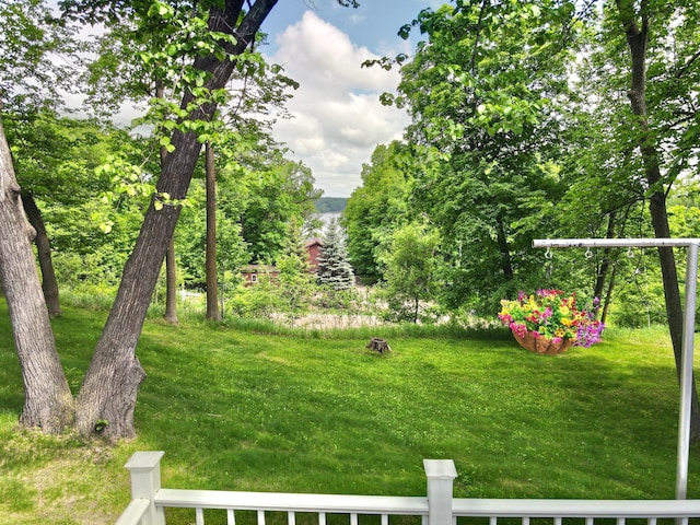 34257 Dusty Trl, Frazee, MN 56544 - view of green lawn