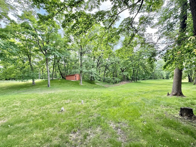 34257 Dusty Trl, Frazee, MN 56544 - view of grassy yard