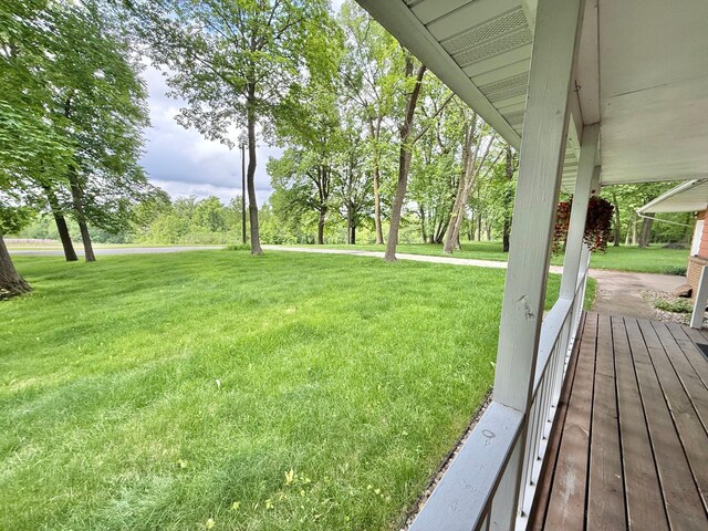 34257 Dusty Trl, Frazee, MN 56544 - view of grassy yard