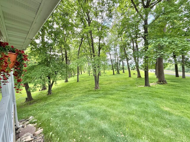 34257 Dusty Trl, Frazee, MN 56544 - view of green lawn