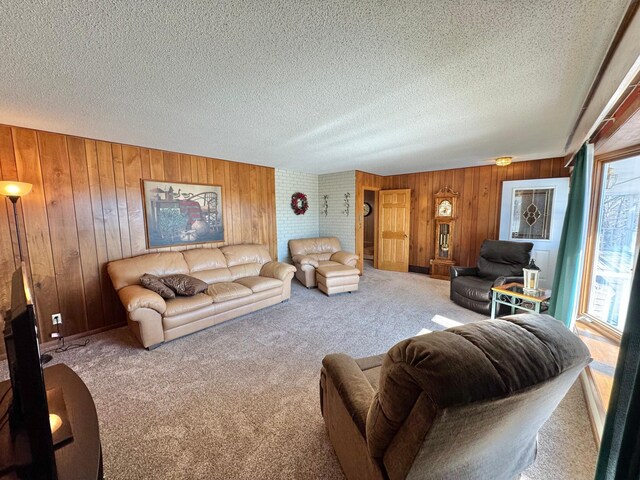 34257 Dusty Trl, Frazee, MN 56544 - carpeted living room featuring a textured ceiling and wood walls