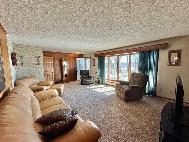 34257 Dusty Trl, Frazee, MN 56544 - carpeted living area featuring a textured ceiling and wood walls