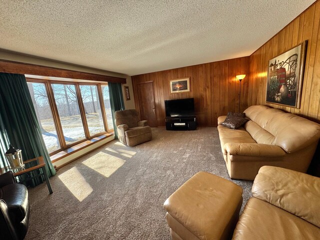 34257 Dusty Trl, Frazee, MN 56544 - living area with wood walls, carpet floors, and a textured ceiling