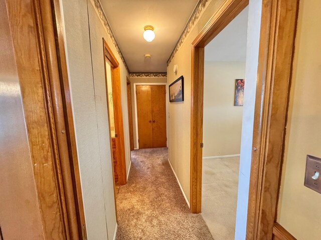 34257 Dusty Trl, Frazee, MN 56544 - corridor featuring light carpet and baseboards
