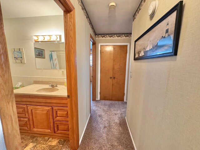 34257 Dusty Trl, Frazee, MN 56544 - hallway featuring a sink