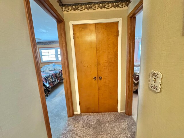 34257 Dusty Trl, Frazee, MN 56544 - hall featuring carpet floors