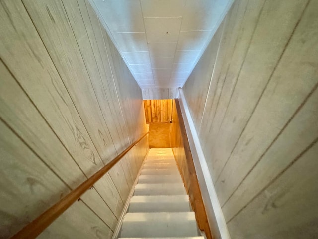34257 Dusty Trl, Frazee, MN 56544 - stairway with wood walls