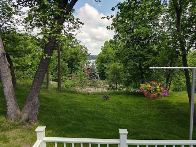 34257 Dusty Trl, Frazee, MN 56544 - view of grassy yard