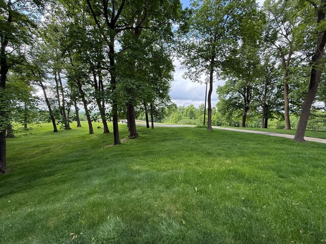 34257 Dusty Trl, Frazee, MN 56544 - view of green lawn