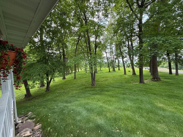 34257 Dusty Trl, Frazee, MN 56544 - view of grassy yard