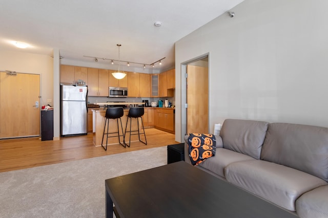 living area featuring light wood finished floors, track lighting, and light colored carpet