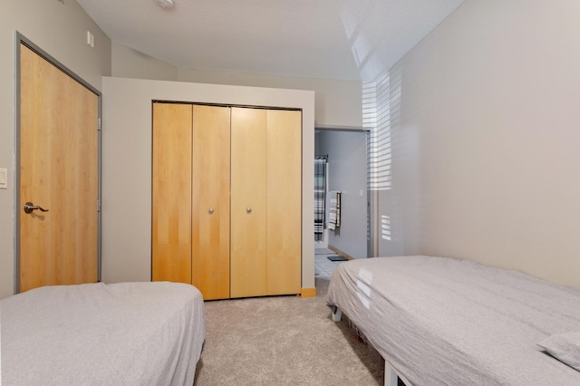 bedroom with carpet floors and a closet