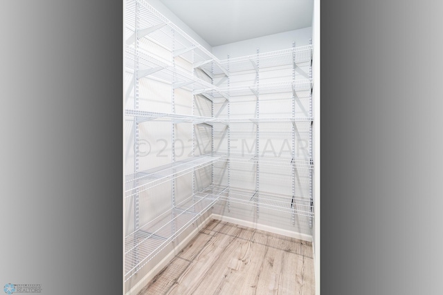 walk in closet featuring wood finished floors