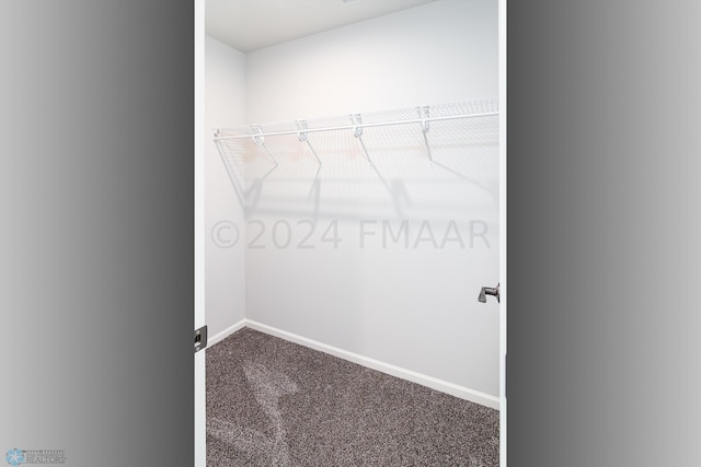 spacious closet featuring carpet floors