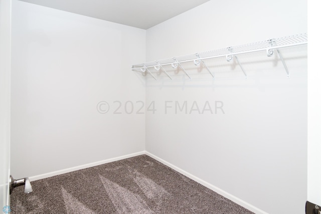 spacious closet with carpet floors