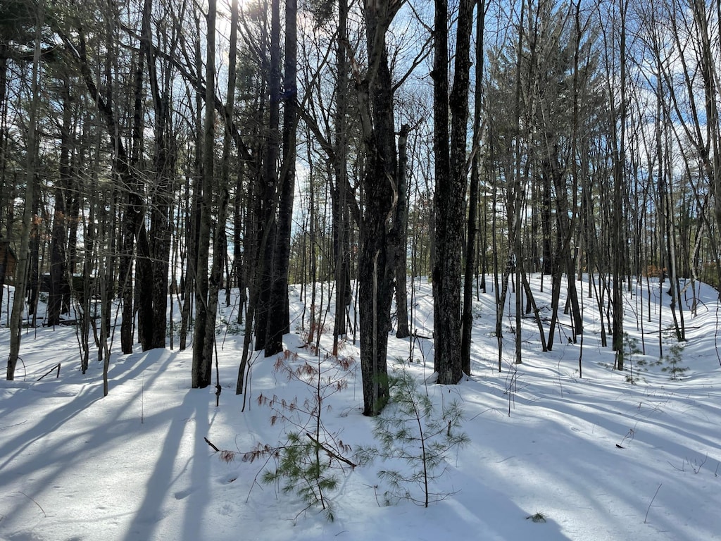10 Garden Dr, Siren, WI 54872 - photo 3