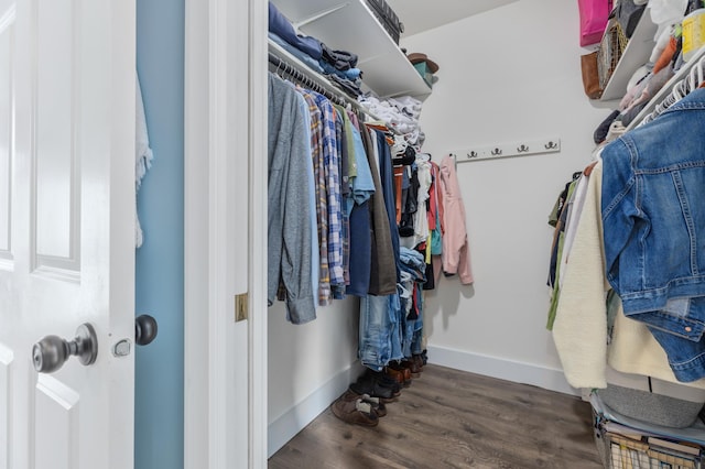 spacious closet with wood finished floors