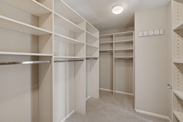 spacious closet with carpet flooring