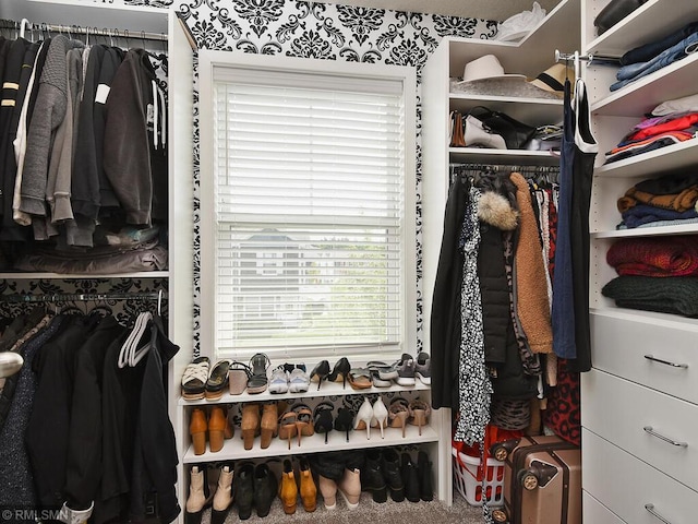 view of spacious closet