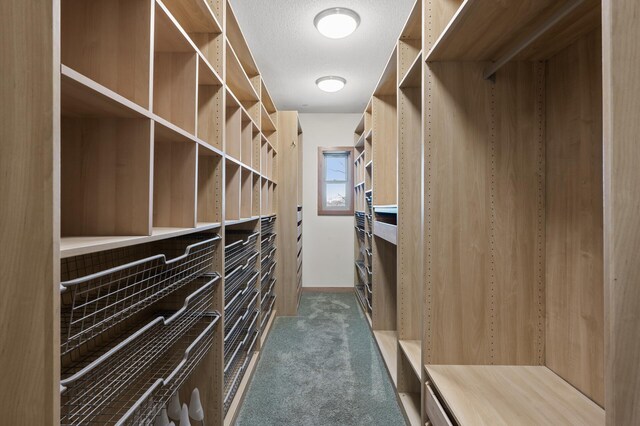 spacious closet with carpet