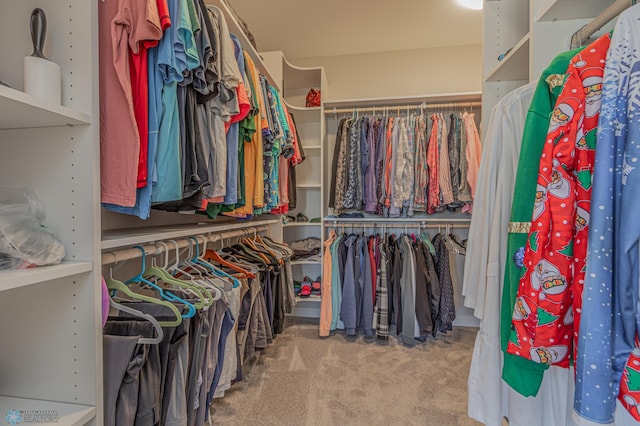 walk in closet featuring carpet