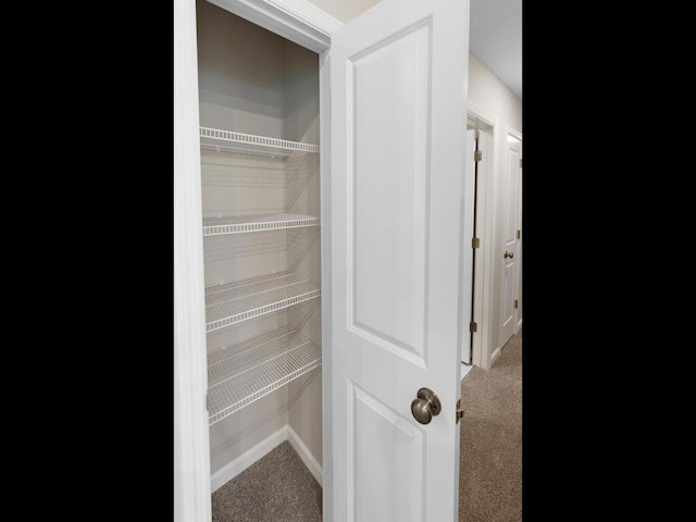 view of closet